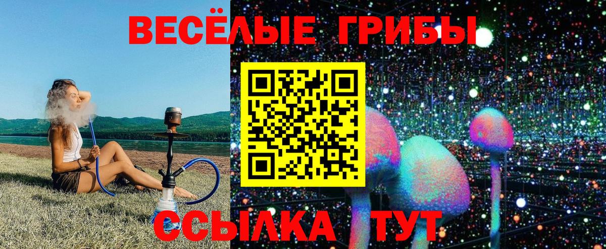 Галлюциногенные грибы Psilocybine cubensis  Вход с VPN  Нарткала 